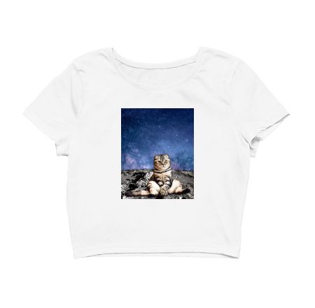Cat Watching D Sunrise on Moon Crop Top