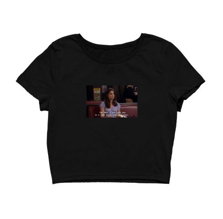 Robin Scherbatsky Crop Top