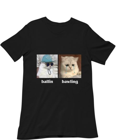 ballin and bawling cat 