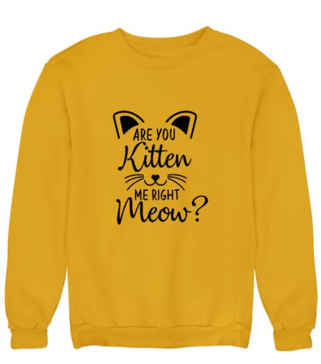 Are you Kitten Me right now - 2 Sweatshirt