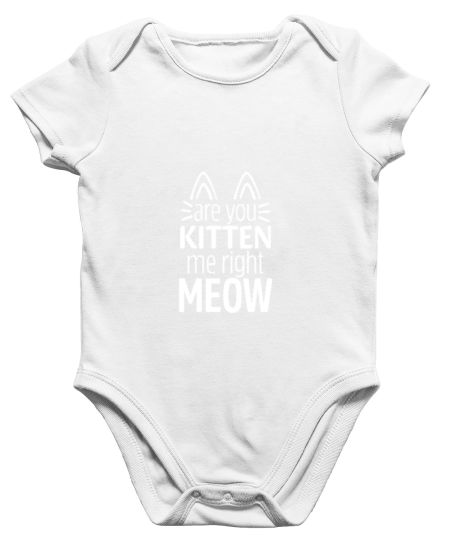 Are you Kitten Me right now - 5 Onesie