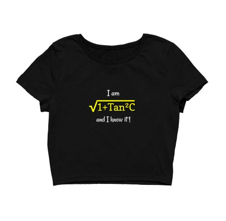 Maths Humour  Crop Top