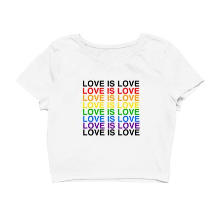 Love is love Crop Top