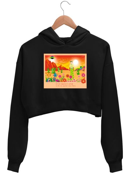 Lily landed Mars Crop Hoodie