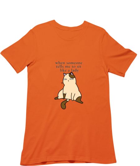 "A lady"..huh! Regular T-Shirt