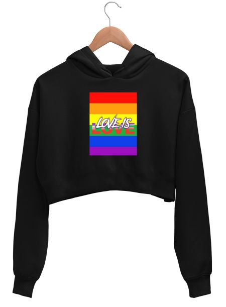 Pride. Love is love Crop Hoodie