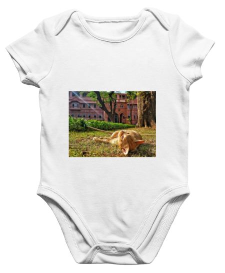 Ginger in the Central Lawn Onesie