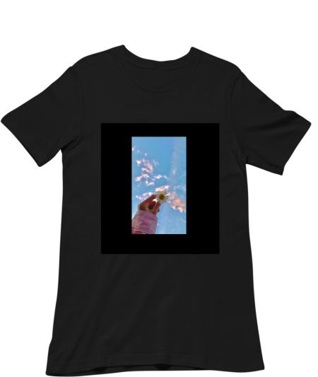 Aesthetic  Classic T-Shirt