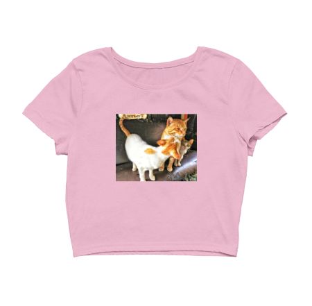 Cat Family in Rickshaw Crop Top