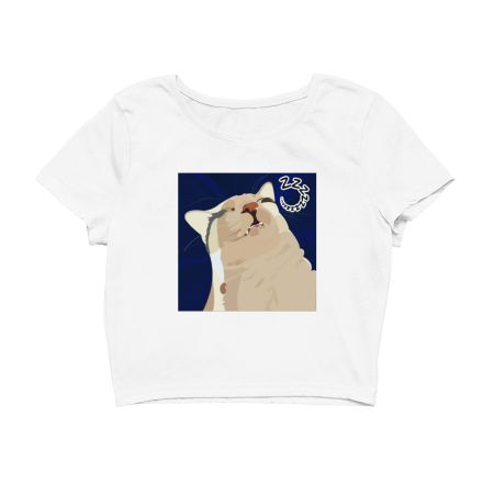 Jhusle Pradhan Crop Top