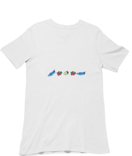 FRUITY TRANSGENDER Regular T-Shirt
