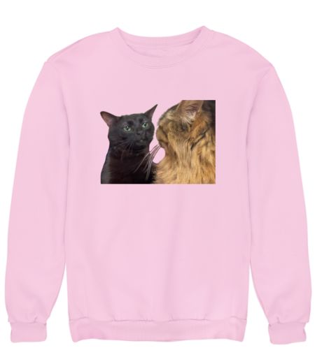 Dissociating Cat Meme Sweatshirt