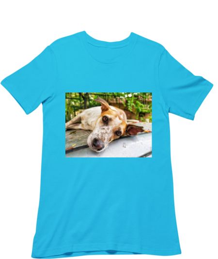 Car Roof Dog Classic T-Shirt