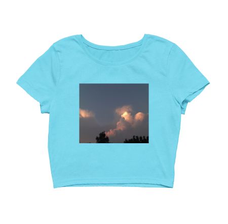 Sky Crop Top