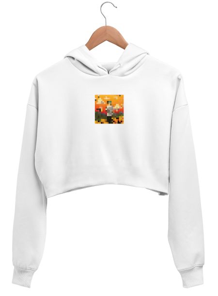 Flower Boy Pixel Album Cover Crop Hoodie