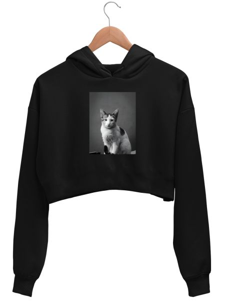 cat Crop Hoodie