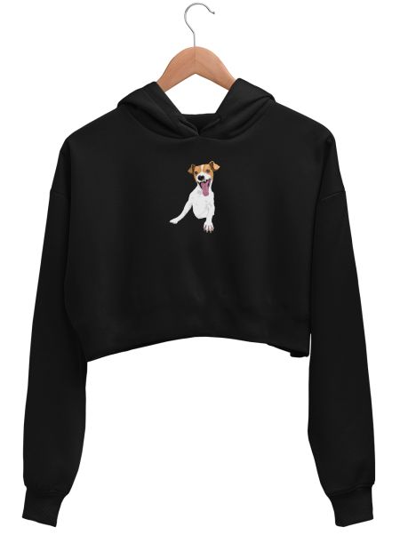 LAUGHING DOG MEME Crop Hoodie