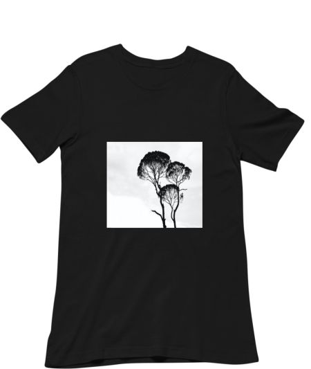 3 wondering trees Classic T-Shirt