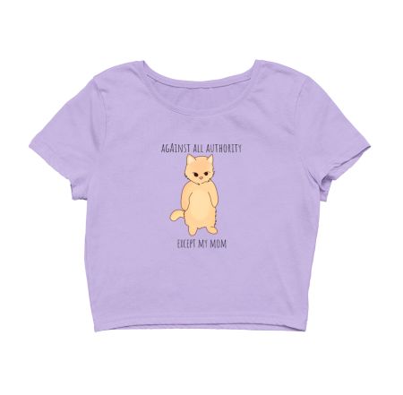 Cat standing  Crop Top