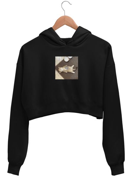 eepy cat Crop Hoodie