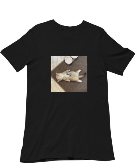 eepy cat Regular T-Shirt
