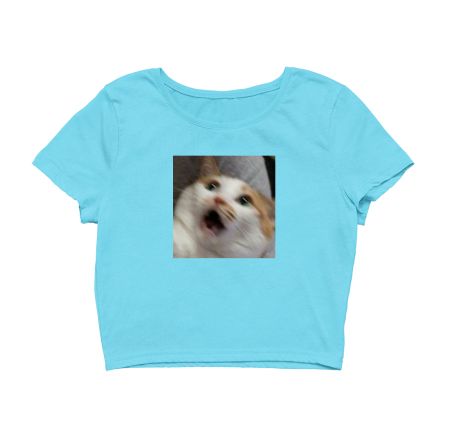 Excited Cat Meme Crop Top