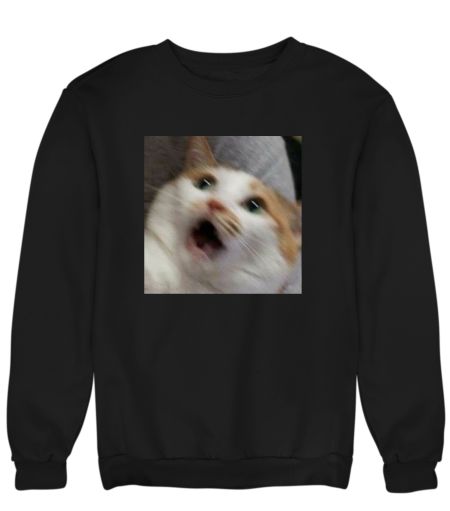 Excited Cat Meme Sweatshirt