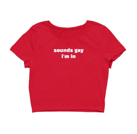 Sounds Gay im in Queer Crop Top