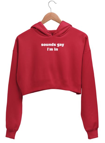Sounds Gay im in Queer Crop Hoodie