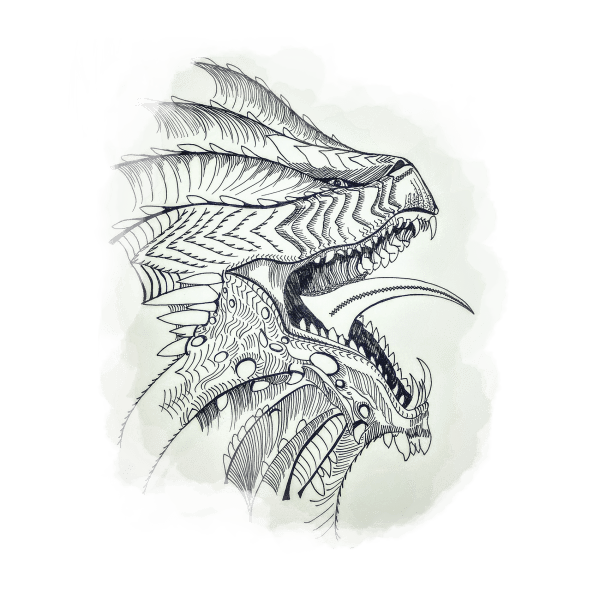 Dragon Sketch Images  Browse 25798 Stock Photos Vectors and Video   Adobe Stock