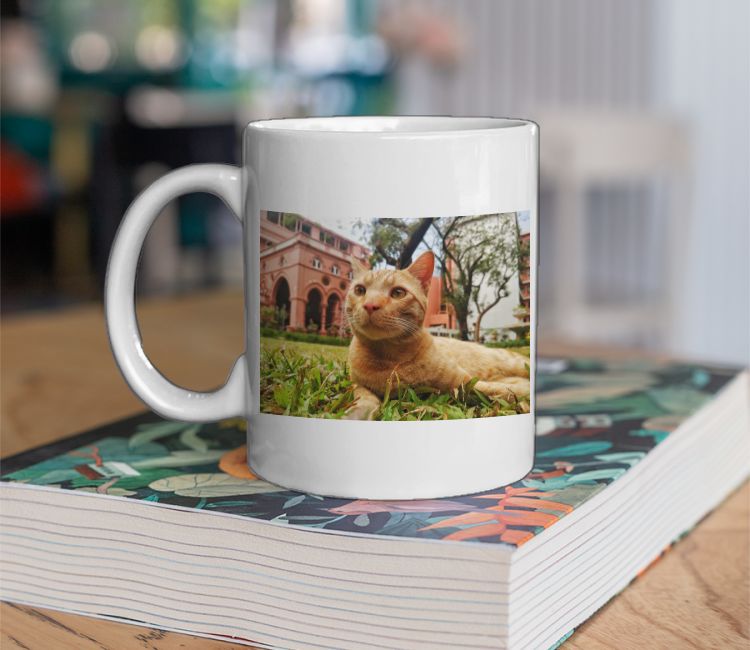 Looking Good Feline Better Coffee Mug