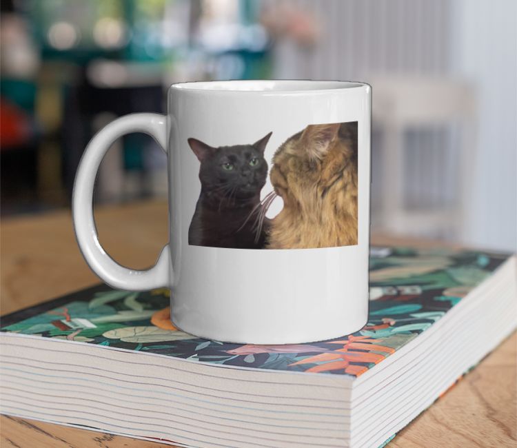 Dissociating Cat Meme Coffee Mug