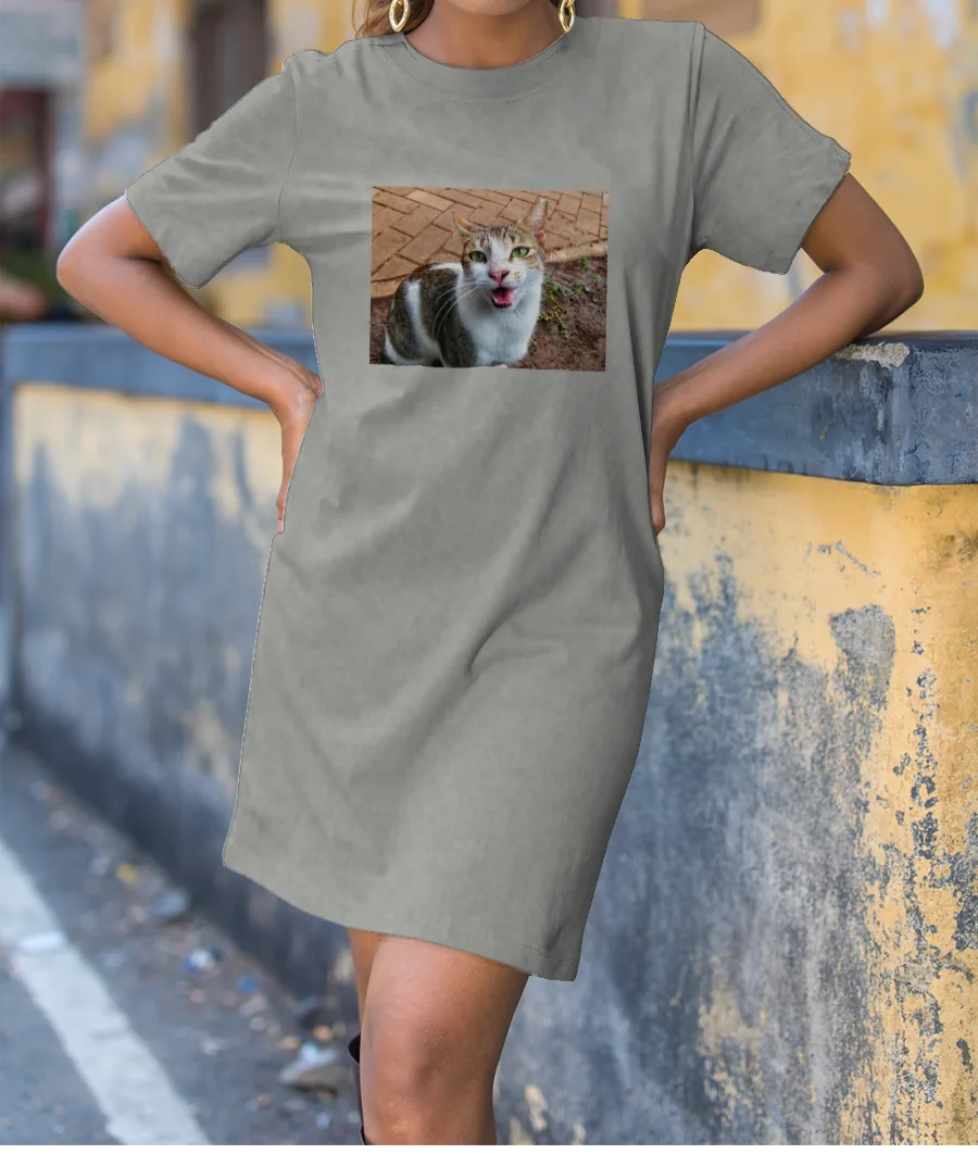 Big Meow T-Shirt Dress