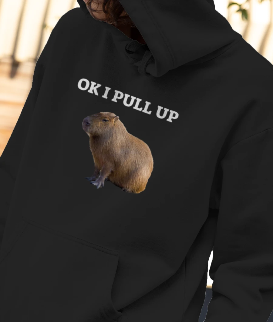 Ok I Pull Up Front-Printed Hoodie