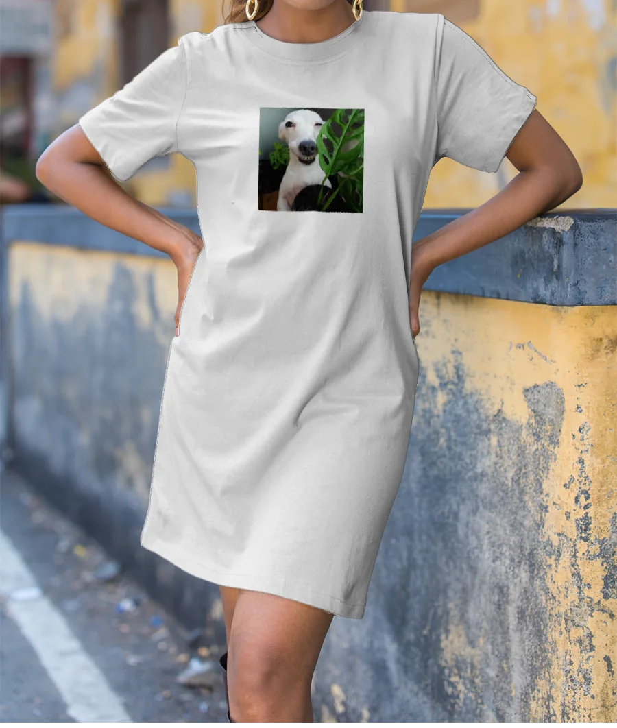 FunnyDoggo T-Shirt Dress