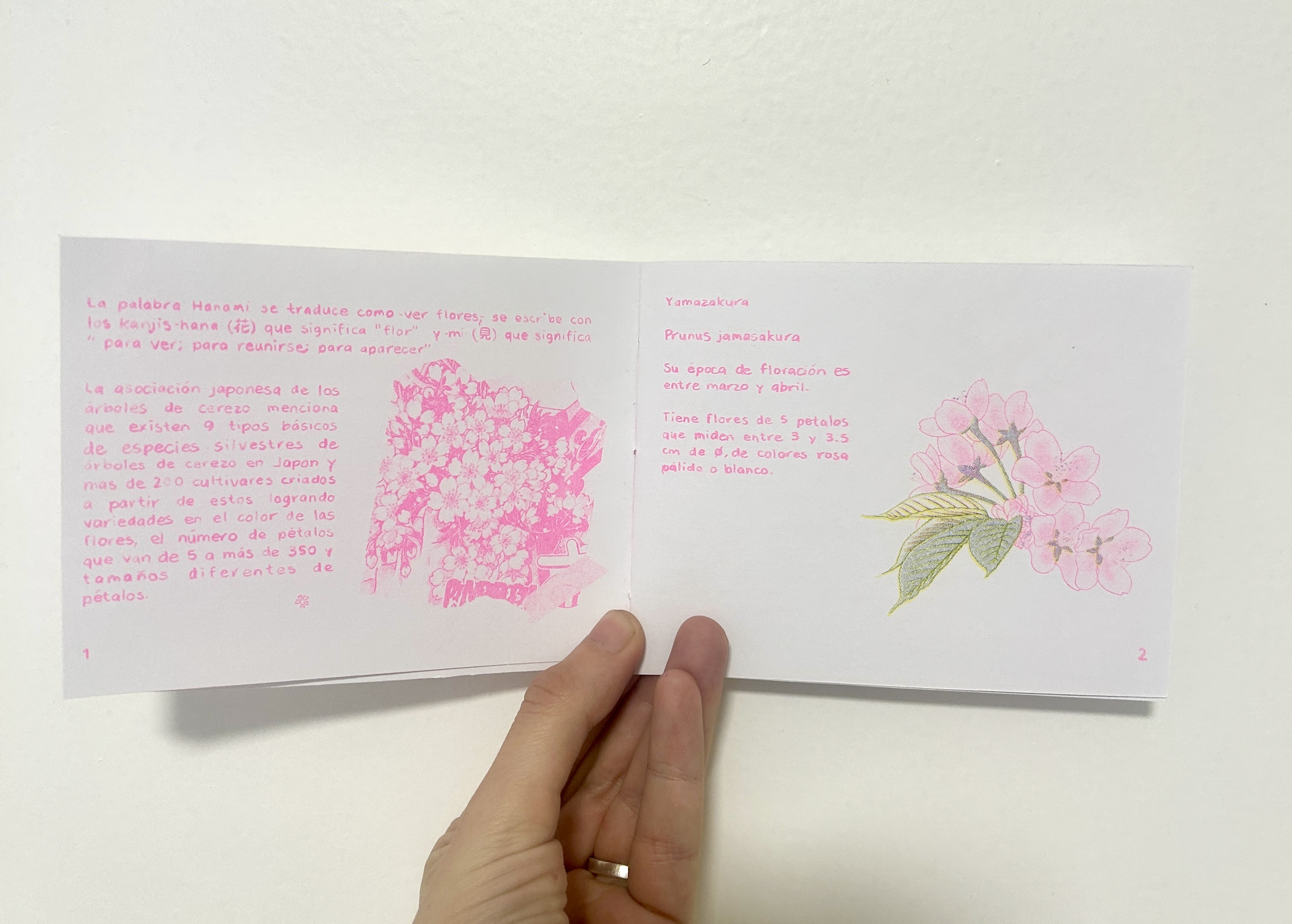 Fanzine "Hanami , Una selección de flores de sakura” — vista 2
