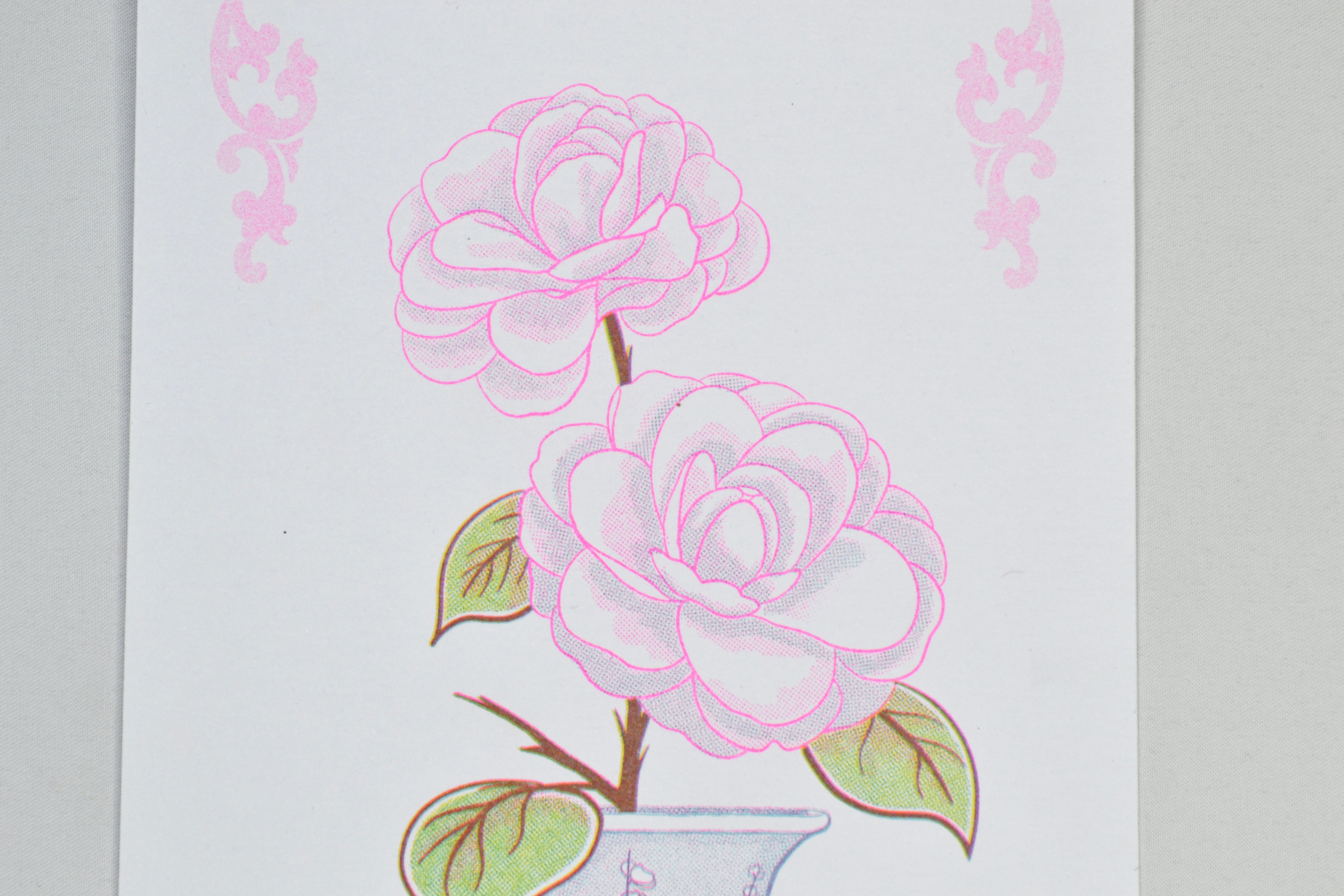 Risografía "Camelia" — vista 2