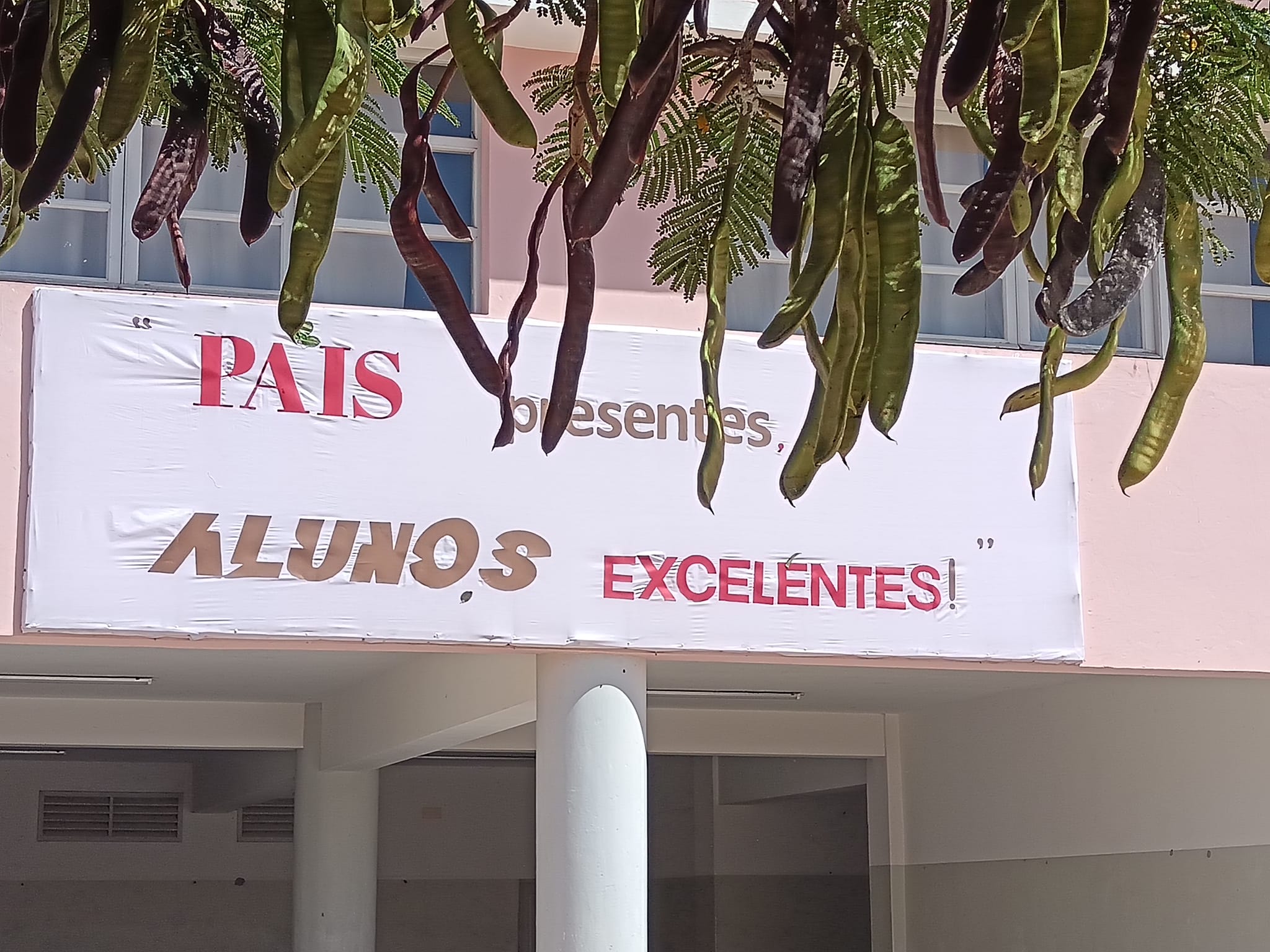 Descrição da imagem 6