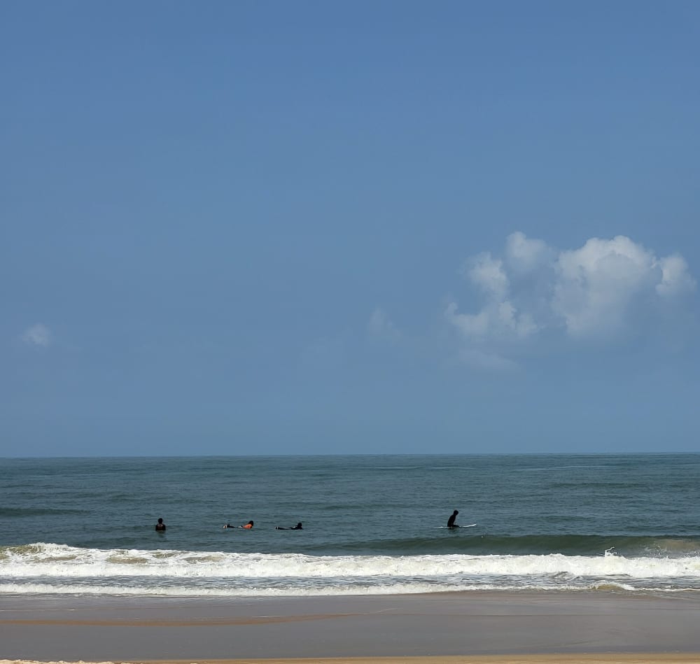 Ocean Lineup
