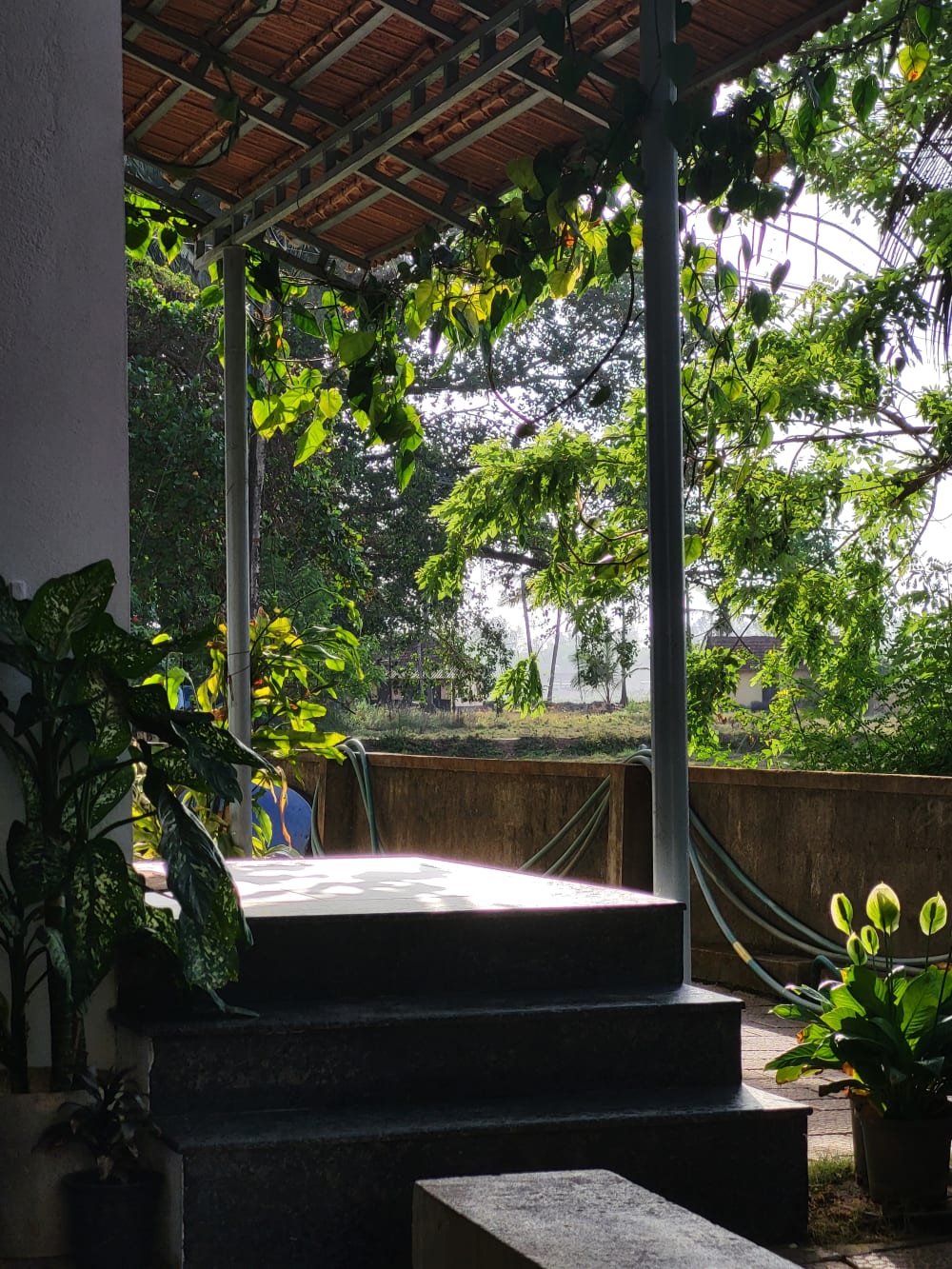 Shaded Porch