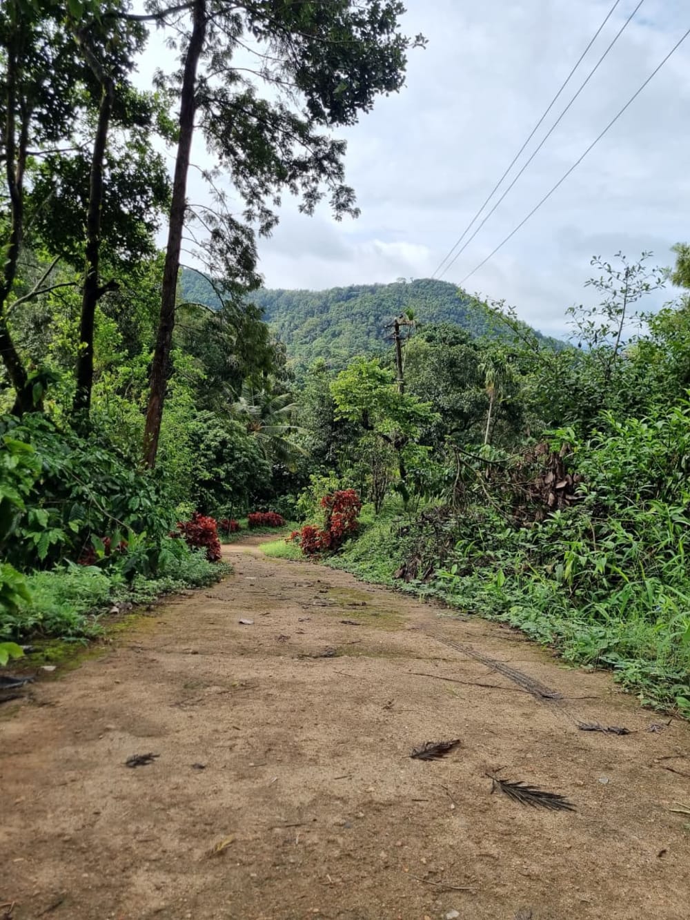 Mountains From Bangalore