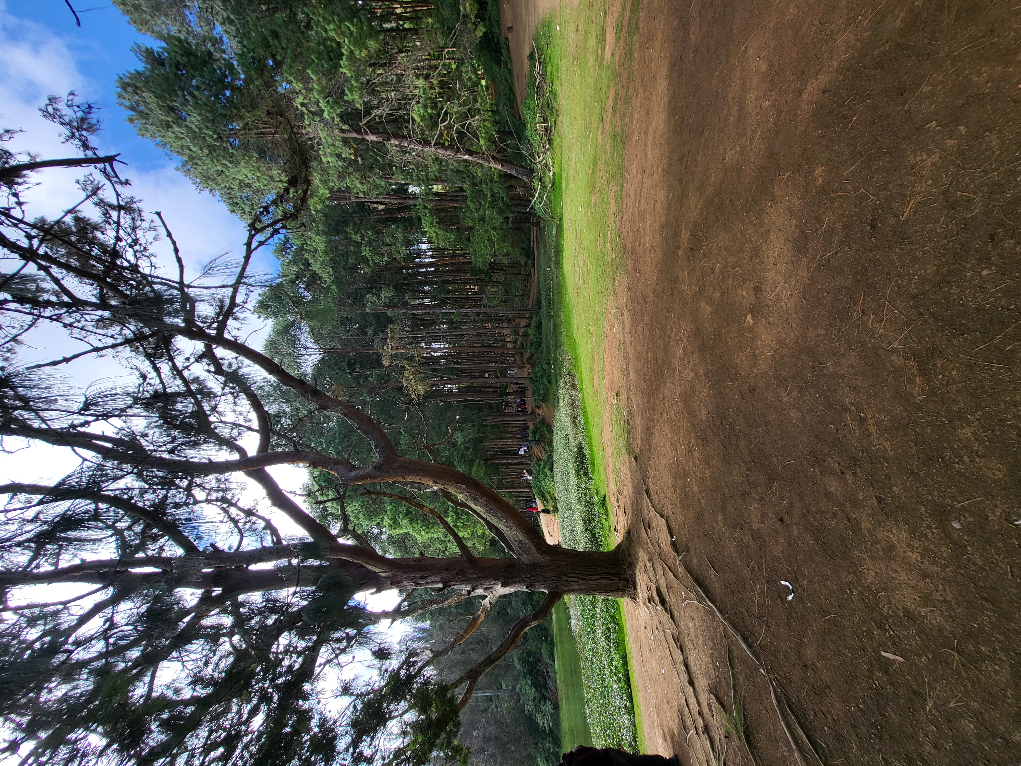 A Trip To Ooty