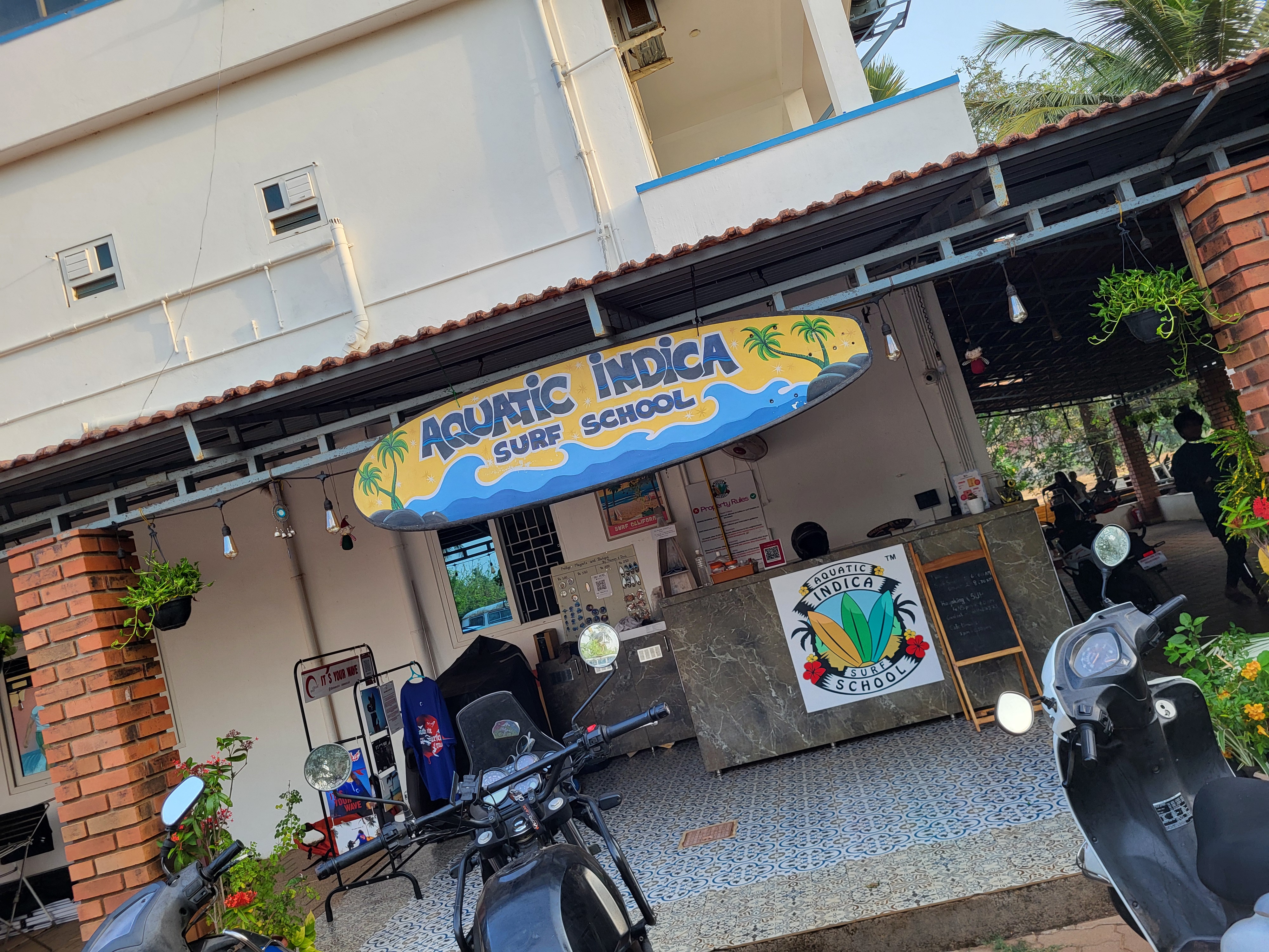 Surf School Front