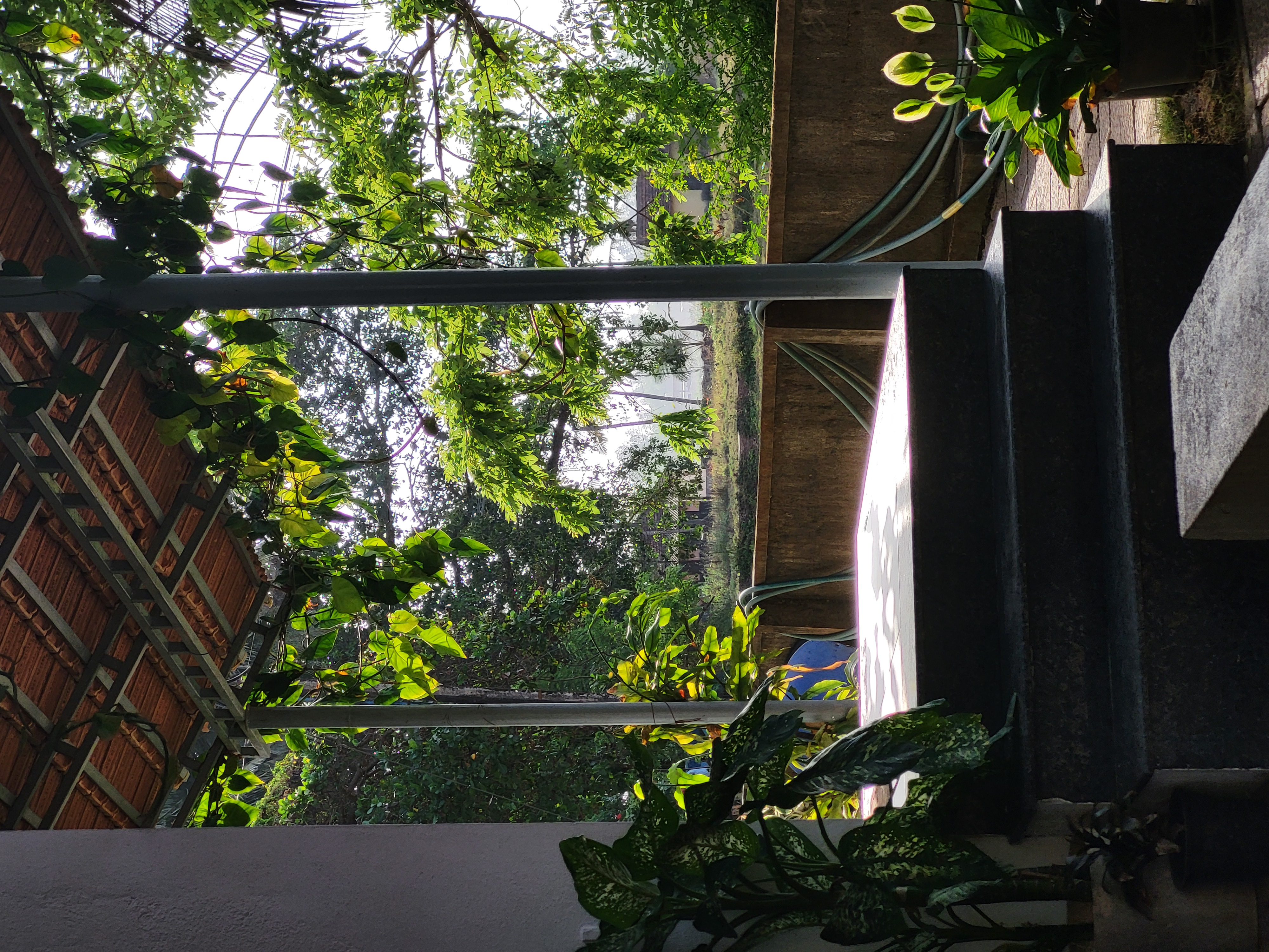 Shaded Porch