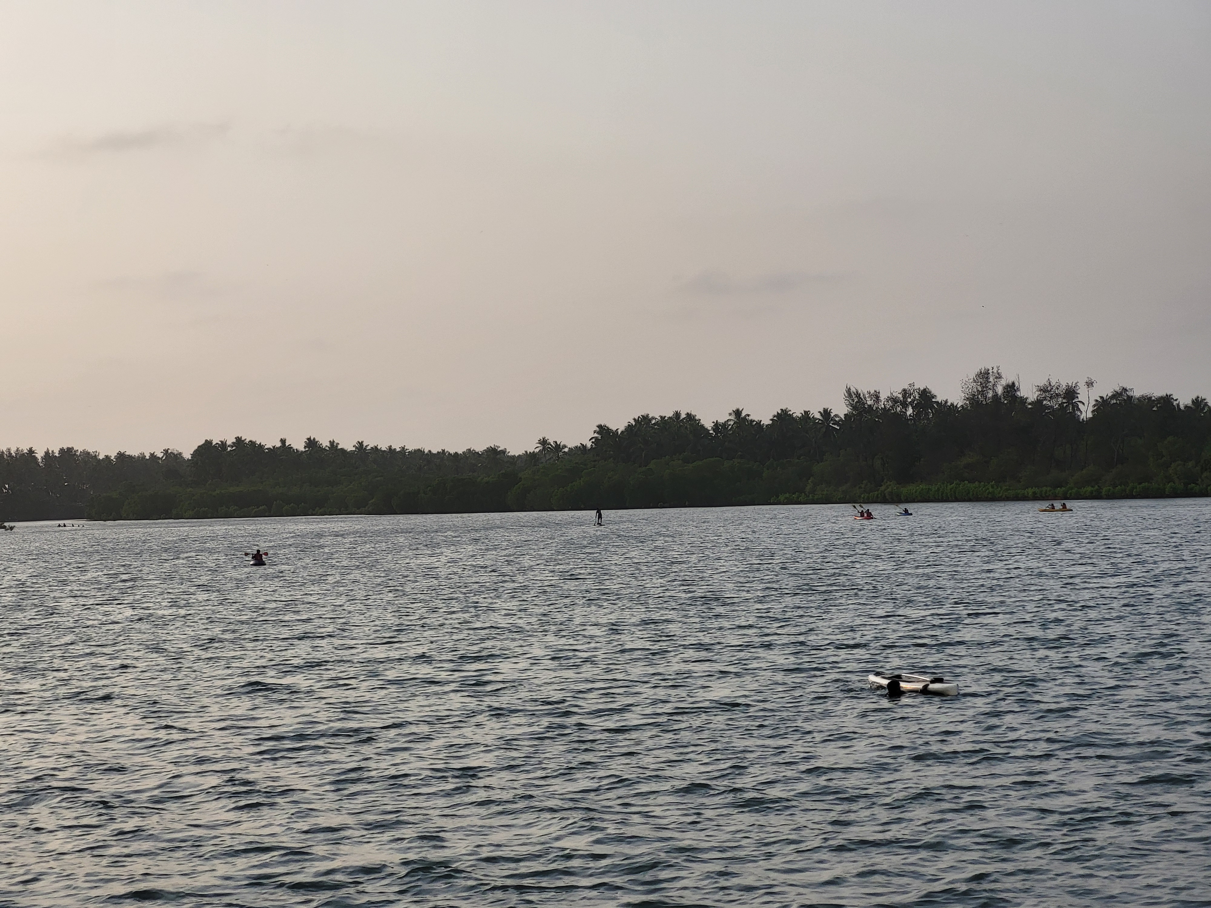 Backwater Kayaking