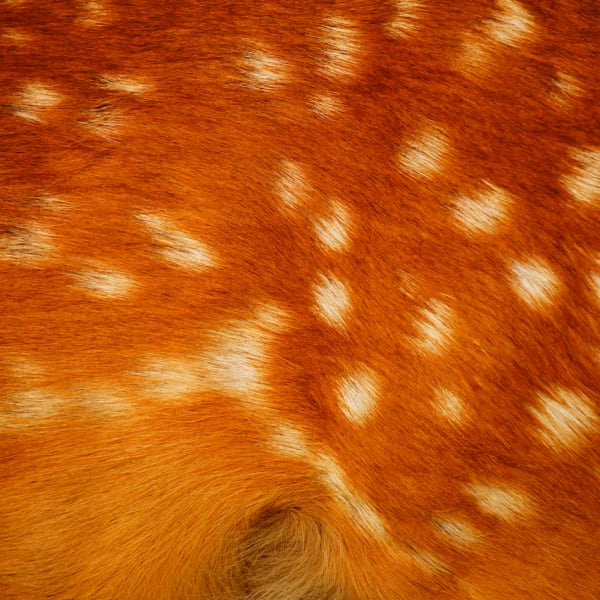 Travels In Abstract photograph: DSC08119 rgjidu