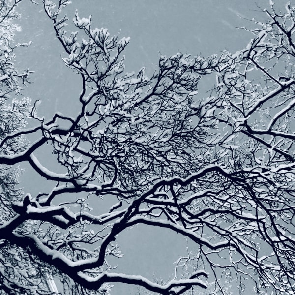 Travels In Abstract photograph: IMG 1534 myqciu