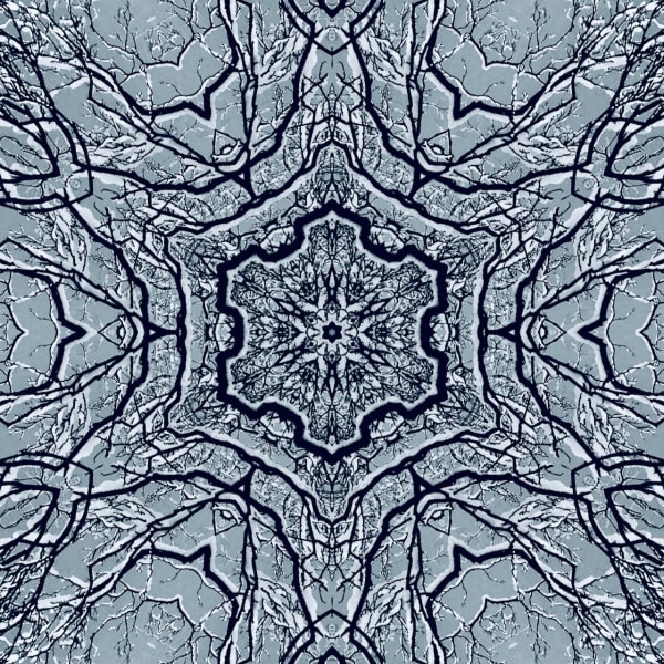 Symmetrees photograph: Snow Symmetree msmjdt