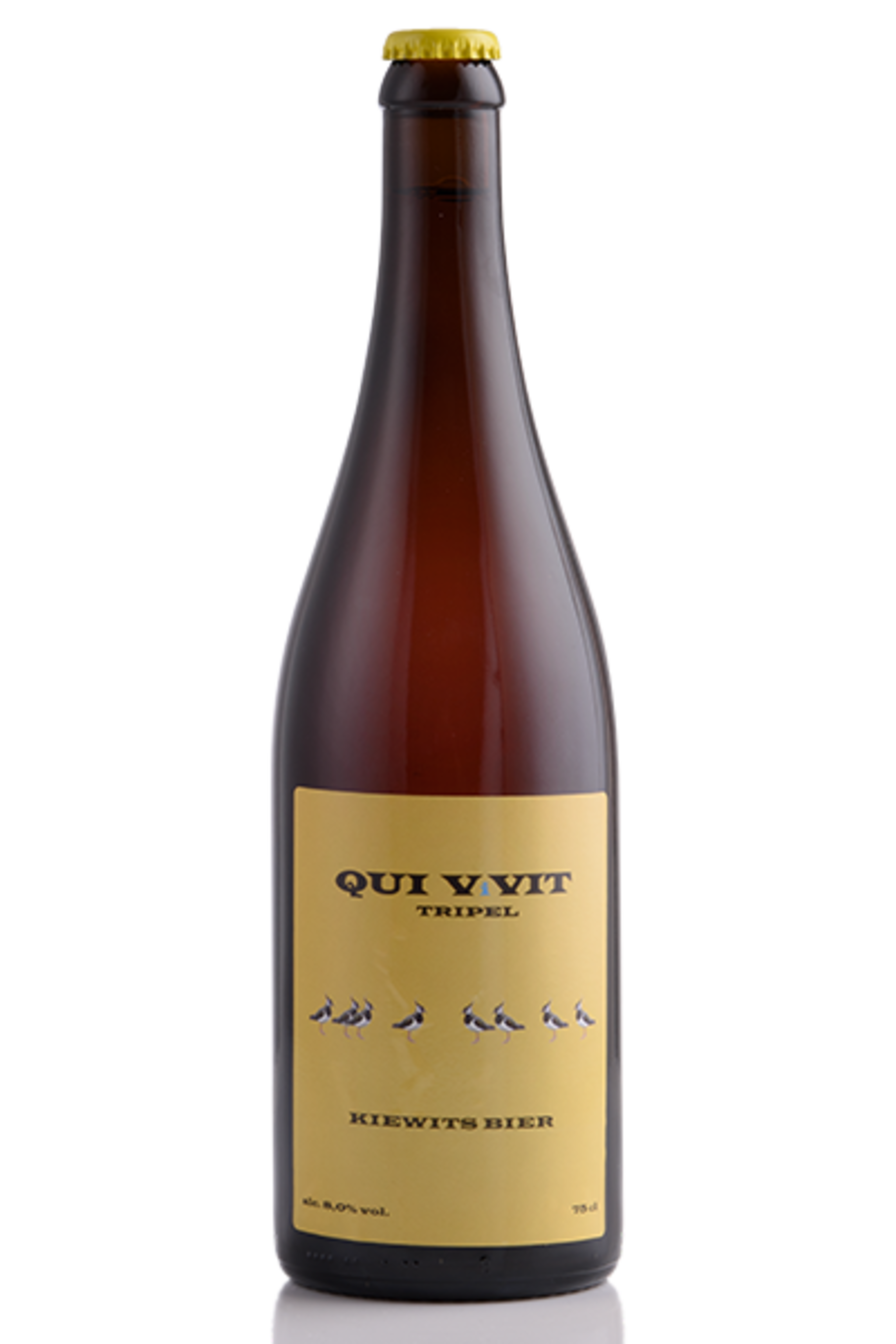 Qui Vivit XL