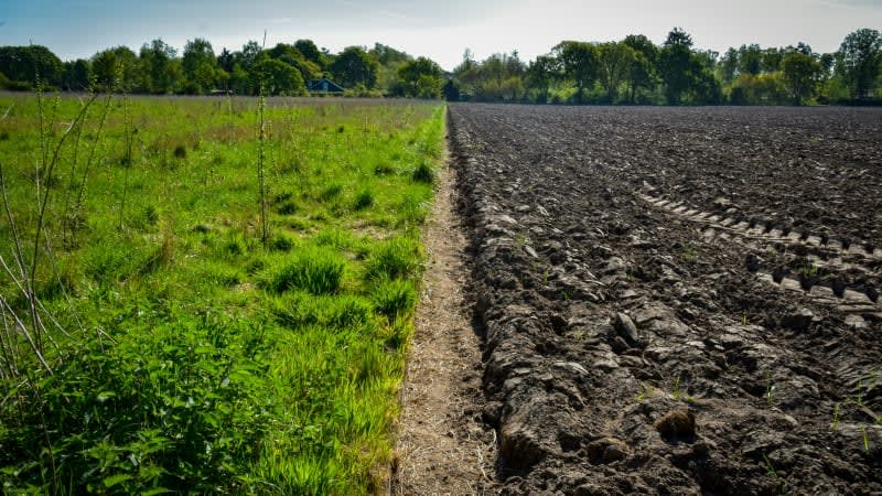 Climate Change Crop Adaptation (CCCA)